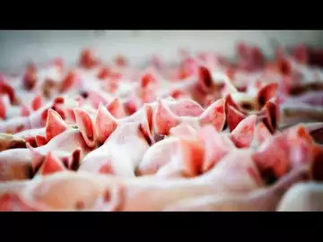 Swine Flu in China Triggers Fears of New Pandemic
