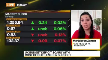 Overvalued Dollar Remains for First Half of 2023: Zaman