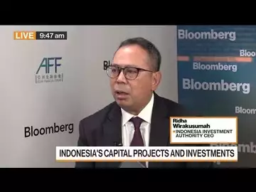 Indonesia Investment Authority CEO Ridha Wirakusumah for digital