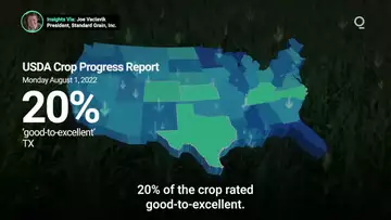 Dry Conditions May Impact US Corn Yields