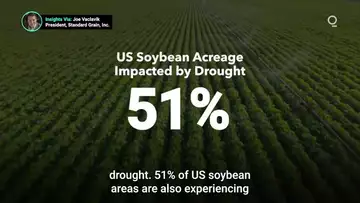 Shifting Weather Creates Uncertainty for US Grain Markets