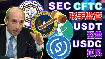 8.24 马斯克与杰克·多西反目成仇?SEC联手CFTC设SRO监管机构;NFT“胖企鹅”起死回生;USDT 逆风翻盘;USDC 发行商 Circle 遭质疑
