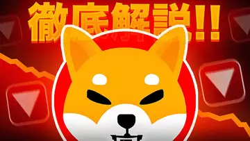 シバイヌの最新情報を徹底解説！？怪しい動きは吉と出るか凶と出るか？？