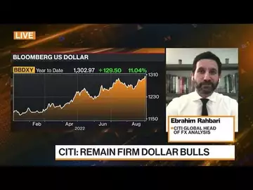 Citi Expects Dollar Index to Go 'Meaningfully Higher'