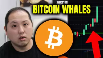 WOAH!! LOOK AT WHAT THE BITCOIN WHALES ARE DOING!!!
