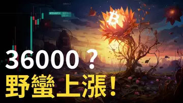 比特幣36000︱BTC野蠻上漲︱比特币大牛市不回徹 ?︱以太幣補漲不了 ?