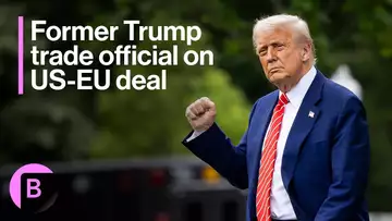 Former Trump Trade Official: Not Optimistic About US-EU Deal