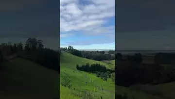 New Zealand Memories-3
