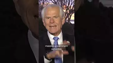 Navarro: Steel, aluminum tariffs are not going away#shorts #tariffs #trump