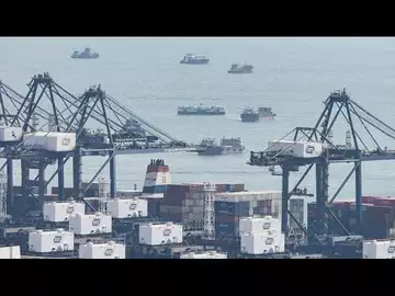 Global Shippers May Lose About $20 Billion If Container Rates Fall