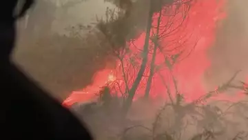 Watch: Wildfires Spread in Southern France