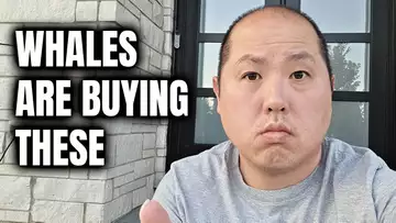 Pay Attention To These Crypto Projects...