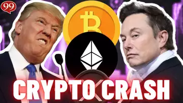 CRYPTO IS CRASHING!! BUY THESE CRYPTOS NOW!! TRUMP VS ELON!