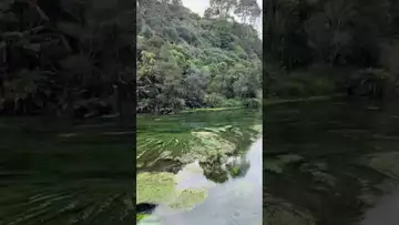 New Zealand Memories-4
