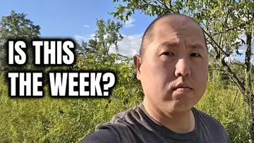 Will Bitcoin and Crypto Recover This Week (Big Report Coming!)