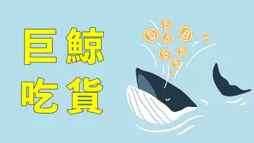 同樣形態再次出現!上次是暴力拉升,這次是否一樣?!比特幣跌破後,強力拉升,跌不下去,底部有鯨魚吃貨,難道狂暴牛市又回來了?請聽我的分析!