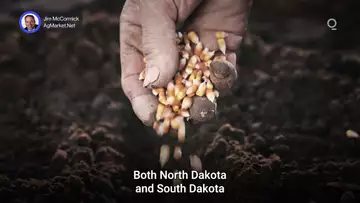 Will Big Plantings Intentions Survive Spring Weather? | Presented by CME Group