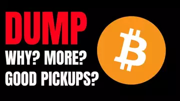 Bitcoin DUMP - Why?  More To Come? Any Good Pickup?