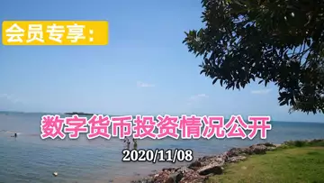 2020/11/08本周数字货币投资情况公开～会员专享059