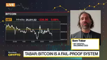 You Can't Destroy Bitcoin, Says Incoming Bit Digital CEO