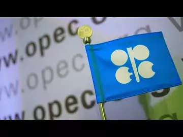 OPEC Argues Against Negative Sentiment in Oil Market