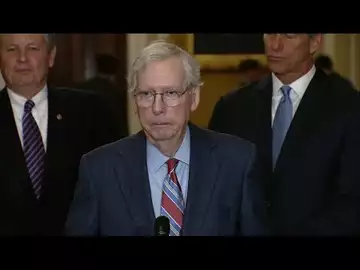 Sen. McConnell Freezes During Press Conference
