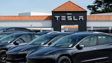 Tesla Sales Slump Amid Musk Backlash