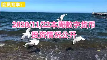 2020/11/22本周数字货币投资情况公开～会员专享065