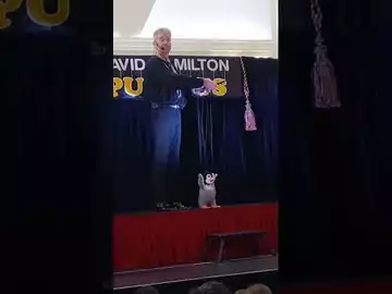 DAVID HAMILTON PUPPETS 06