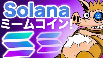 新しいSolanaミームコインSnorterって何？どこまで盛り上がるのか！？