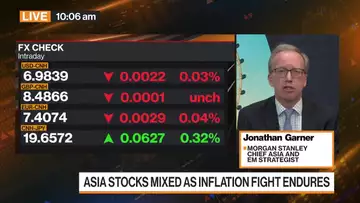 At Conclusion of 2-Year Major Slowdown in China: Garner