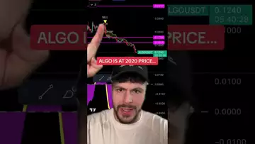 ALGO IS BACK AT 2020 PRICES... ACCUMULATE!?