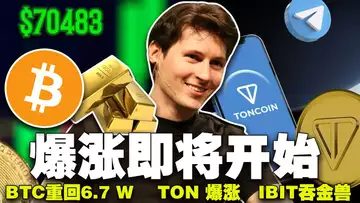 比特币重回6.7万美金;比特币取代黄金? IBIT王牌吞金兽;马斯克福 MEME 币;TON 逆势涨15% 20240325