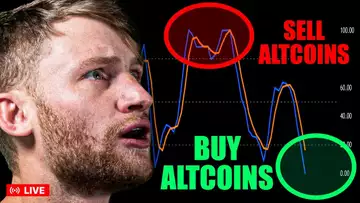The BEST Altcoin Strategy For The Incoming Bull Market! (PREPARE NOW)