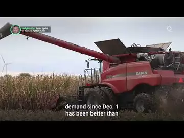 USDA Report Has Grain Markets Concerned | Presented by CME Group