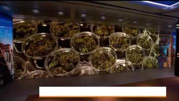 Recreational Marijuana Becomes Legal in New York State