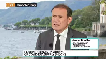 Roubini Says 10% Global Equity Correction Not Unlikely