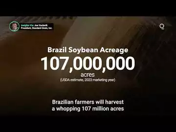 Brazil to Set Soybean Harvest Record
