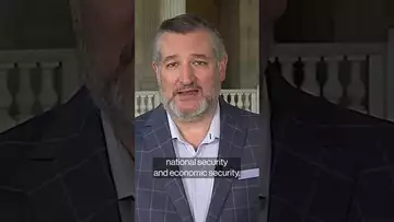 What Ted Cruz has urged to Trump on tariffs#shorts #tariffs #trumptariffs #tedcruz #politics