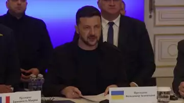 Ukranian President Zelenskiy on 30 Day Ceasefire Plan