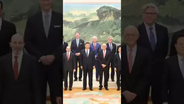What CEOs met with Xi Jinping in China