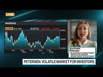 Markets Don't Reflect Fed's Economic Damage: BlackRock