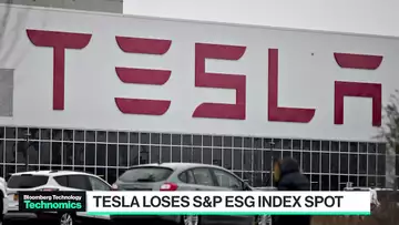 Elon Musk Calls ESG Metrics a 'Scam'