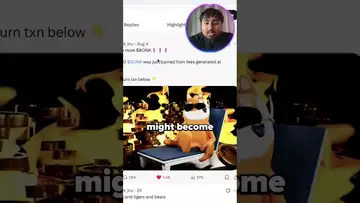 BONK COIN SHOCKS MARKET WITH RECORD BURN?!!! 🔥🔥🔥 #crypto  #bonkcoin
