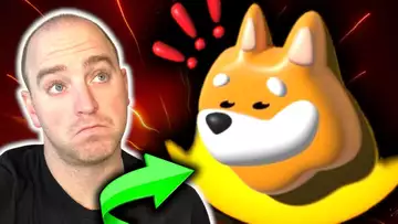 Is Bonk About to Explode in 2025?