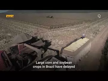 China’s Demand for US Grains Is Falling Fast