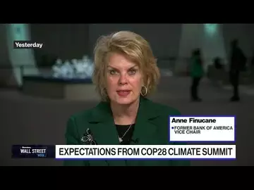 Finucane on Future of Energy, EVs, ESG Investing