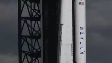 Musk's SpaceX Approved for New Starship Launch as IPO Rumors Swirl
