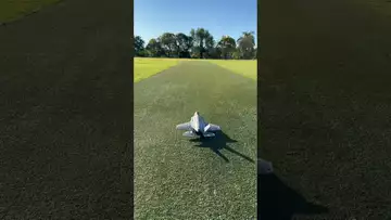 The plane ran off the runway.
