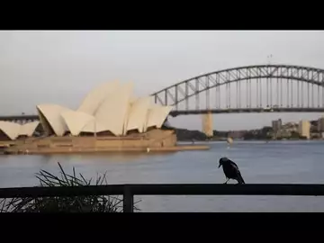 Sydney May Face Covid Lockdown